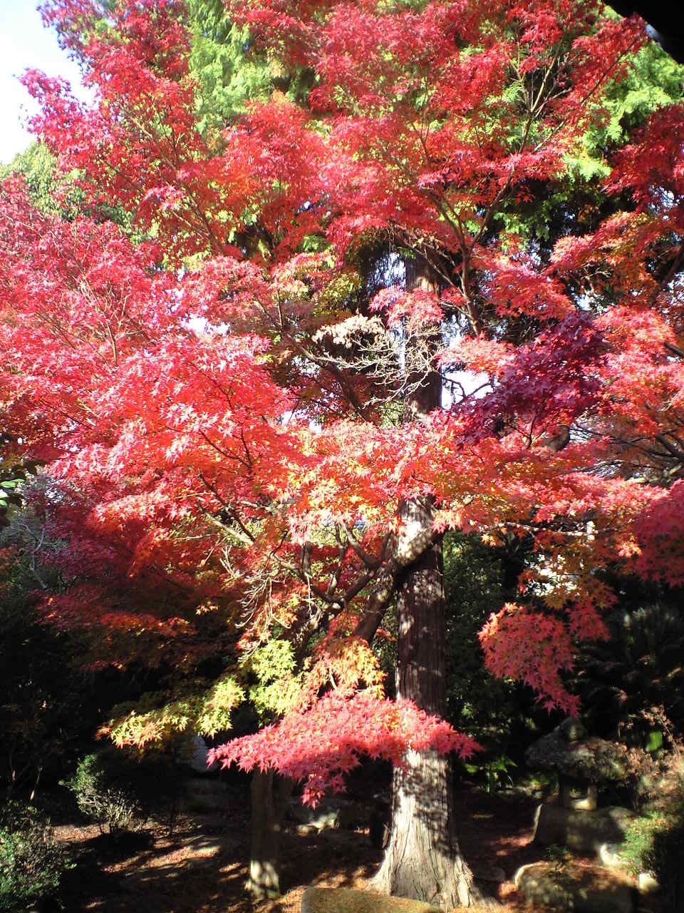 写真1